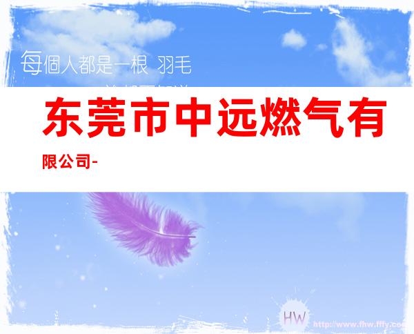 东莞市中远燃气有限公司-